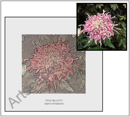 Chrysanthemum art fusion original