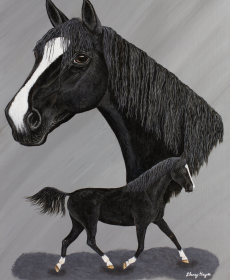 S_Hayes_ASBSH_Majestic_2025